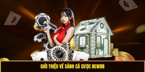Giới thiệu về nhà cái win 789